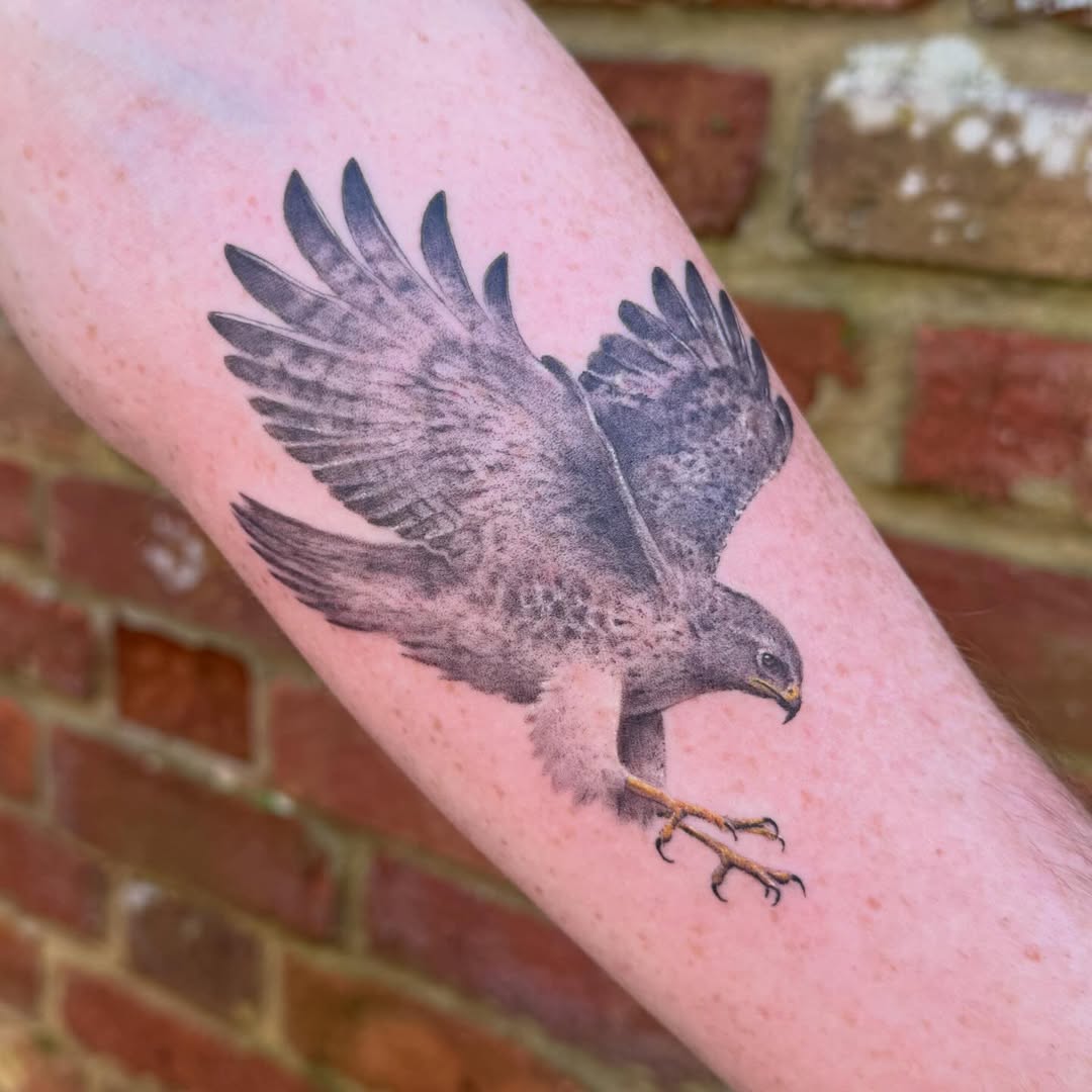 Bird of prey tattoo landing